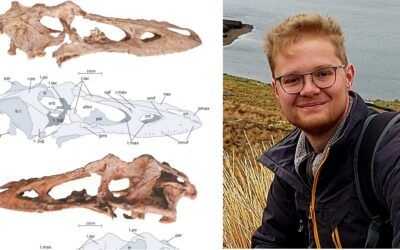 Bever lab student publishes first paper!