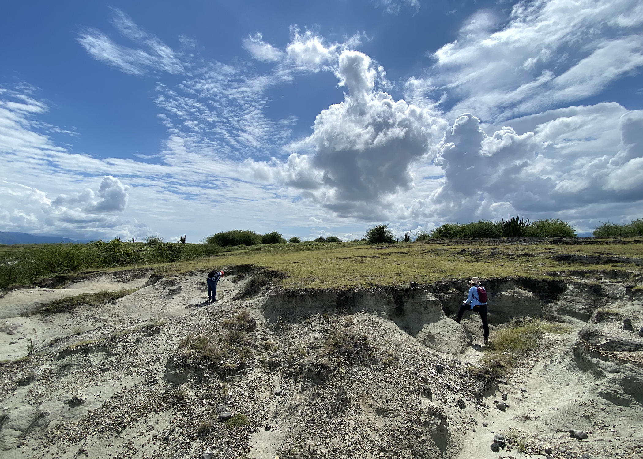 Paleontologists collecting fossils in the desert.